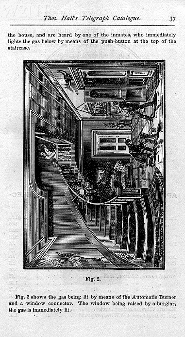 Hall_Page37.jpg - 204573 Bytes